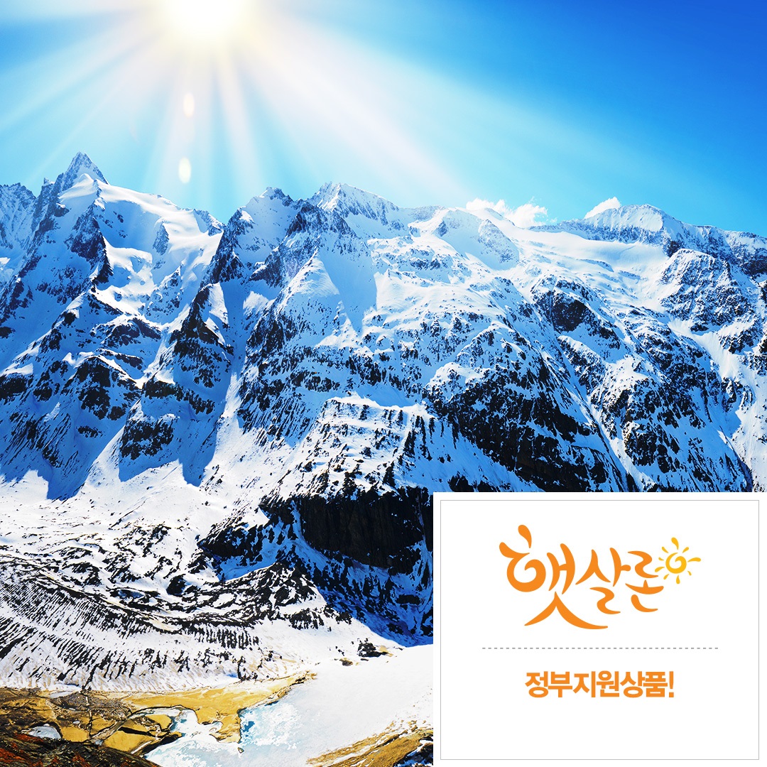 다이렉트몰 OPEN